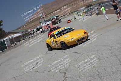 media/May-31-2025-CalClub SCCA (Sat) [[2c1a04e1ee]]/Around the Pits/